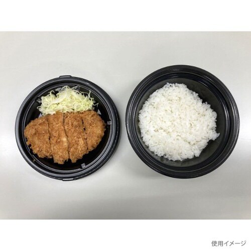 TNパイン17浅 黒本体 12パック