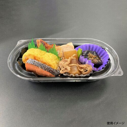 BFNプランチ21 黒中皿 24パック