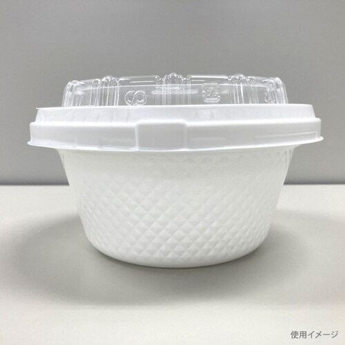 TNパイン17 無地本体 12パック