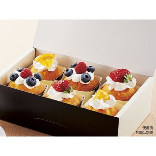 DT−40 ブラウン TPX 10パック