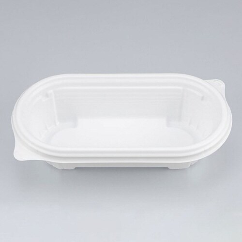 BFNプランチ21 ホワイト本体 24パック