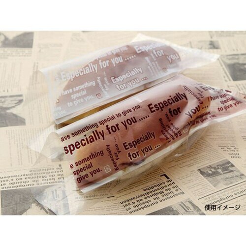 Foryou小袋IPA白 10袋