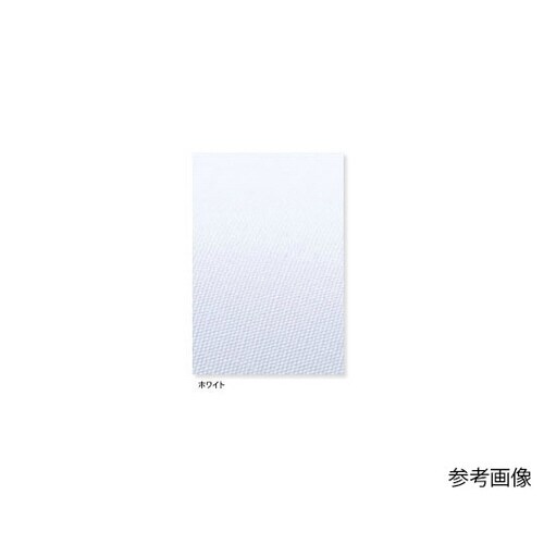 男子食品衣半袖 M NP202