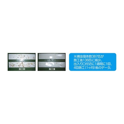 虫いやーン! 4L×4本入 専用スプレーボトル付