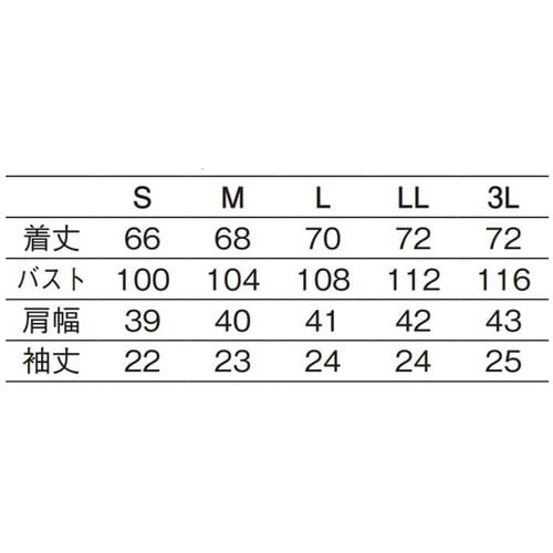 レディスシャツ半袖 ホワイト M 622−10 M