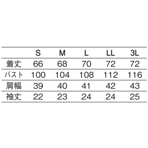 レディスシャツ半袖 白 LL 622−10 LL