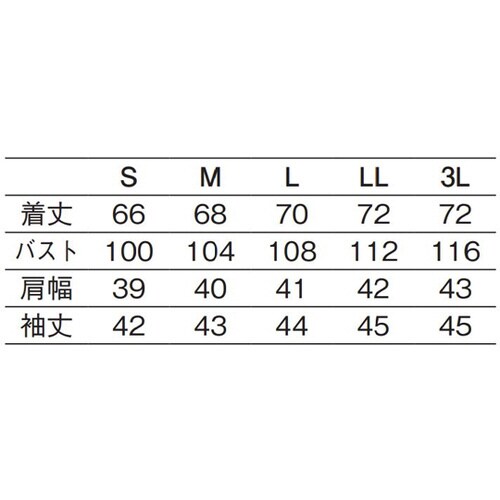 レディスシャツ 黒 L 611−05 L
