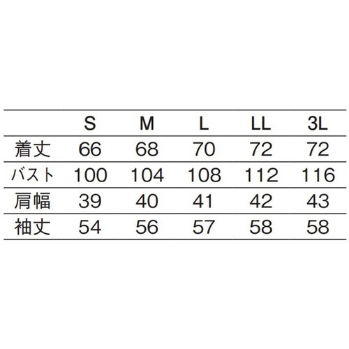 レディスシャツ長袖 ホワイト M 620−10 M