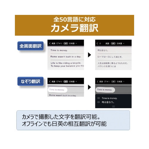 iFLYTEK Smart Translator