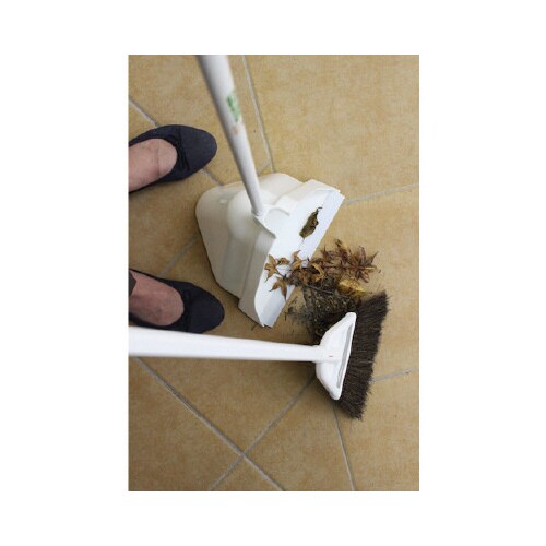 NUS605チリトーレ