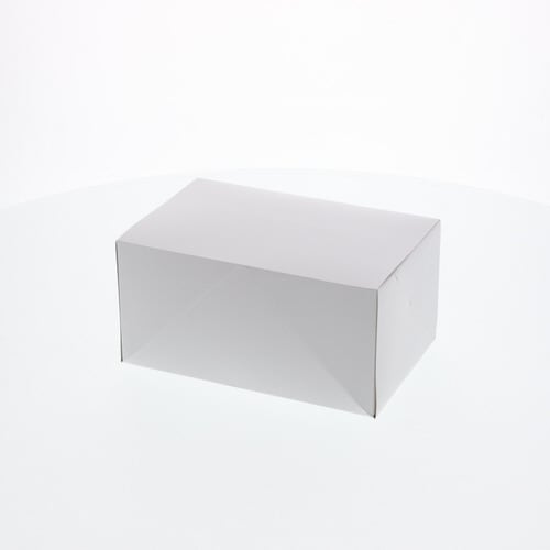 食品箱 洋生 白 B×5