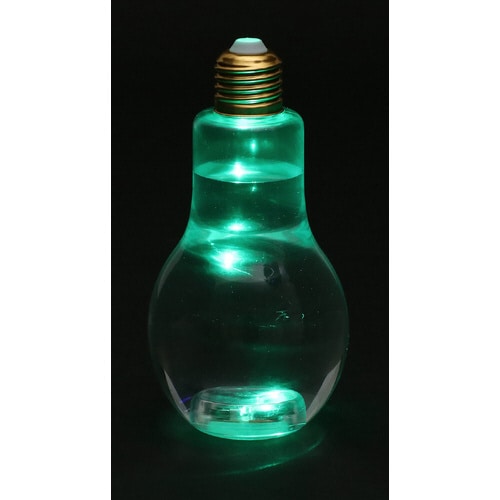 電球ボトルライト