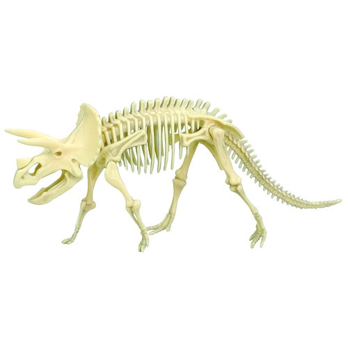 化石発掘キット トリケラトプス