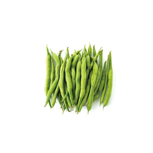 お家で楽しく栽培キット いんげん