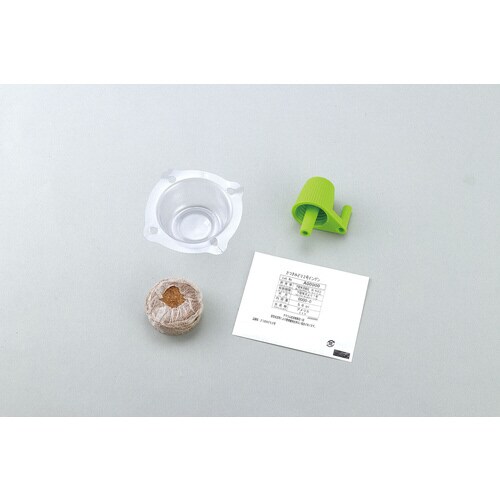 お家で楽しく栽培キット いんげん