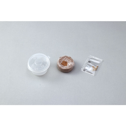 プチベジ パクチー