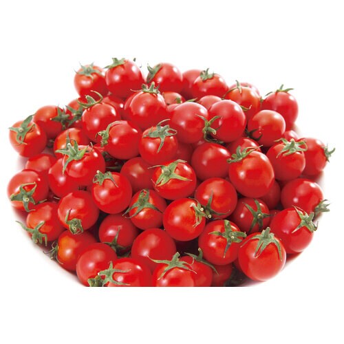 ミニファームおうちで育てるミニトマト