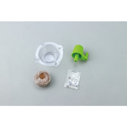 お家で楽しく栽培キット チンゲンサイ