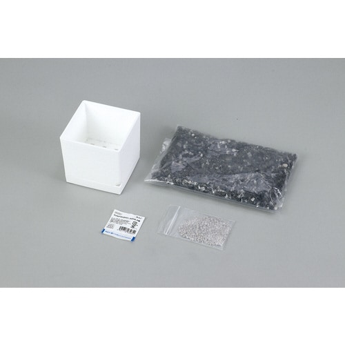 エコ栽培 Re:Green ワイルドストロベリー