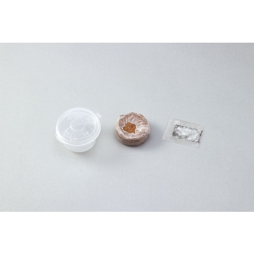 プチベジ ペパーミント