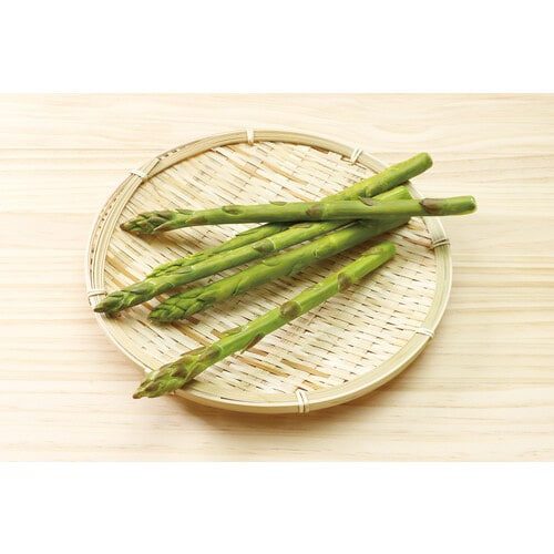 樹脂粘土でつくるフェイクフードベーシックキット