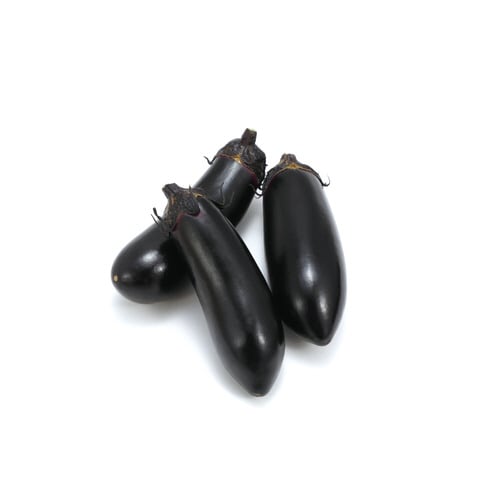 お家で楽しく栽培キット なす