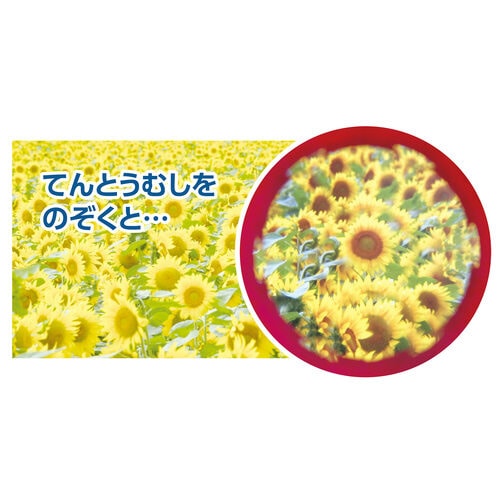 万華鏡レンズ てんとうむし