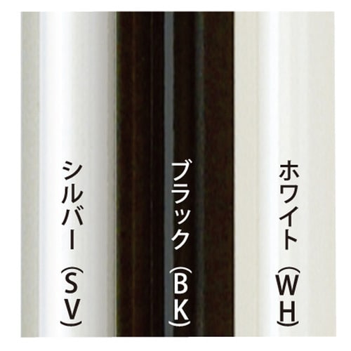 シェイプ 輸入菊全 ホワイト