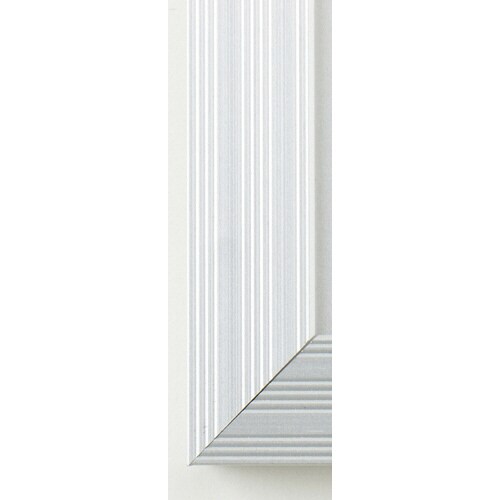 カルビアン B3 シルバー