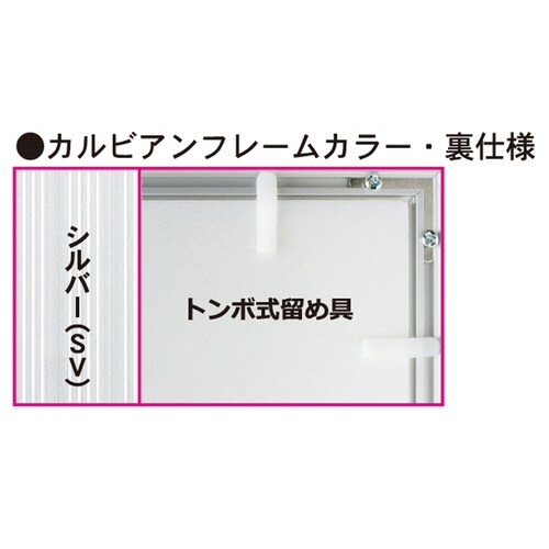 カルビアン OA賞証額 B4 シルバー