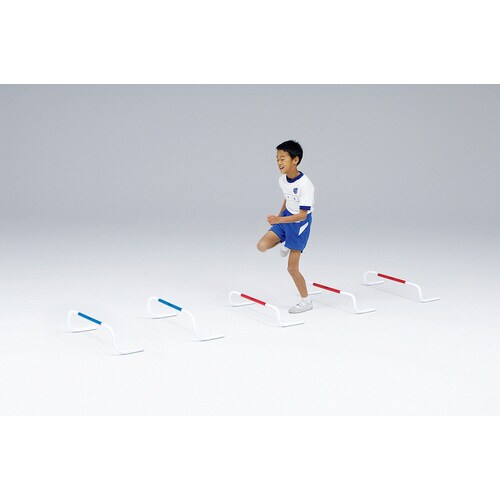 バックウエイトハードル20