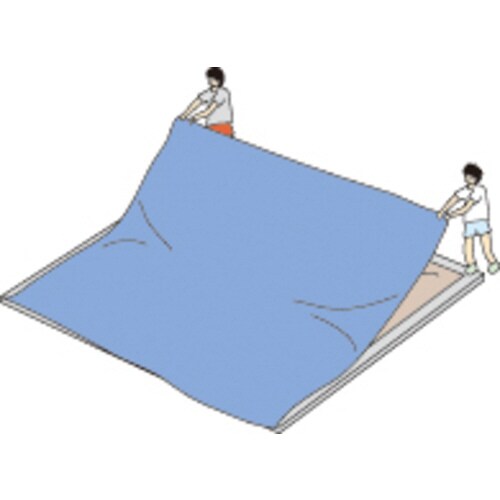 スポーツシート10×10M