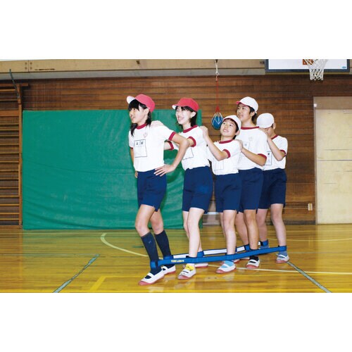 むかで用ベルトDX5 青