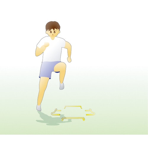 ステップハードル20