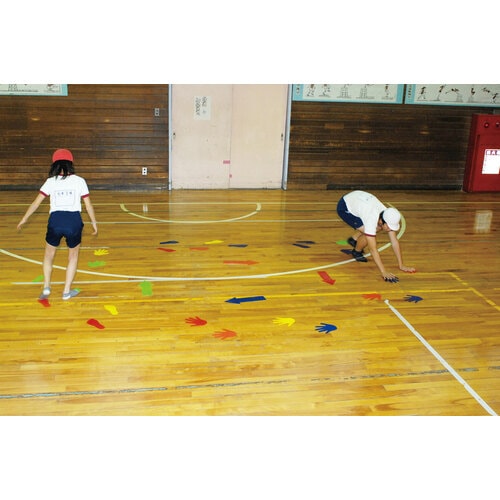 アクティブプレースポット 手 12枚