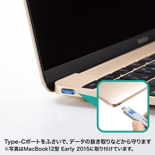 TypeCポート取付けセキュリティ
