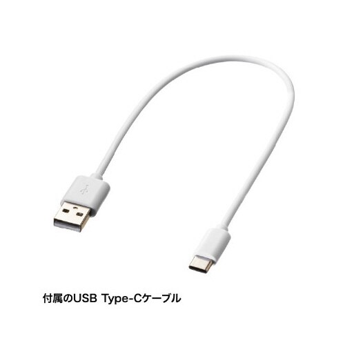 Apple iPad専用充電式極細タッチペン