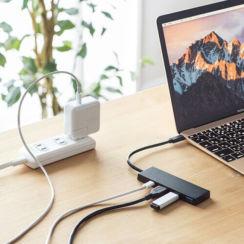 USB Type C ハブ
