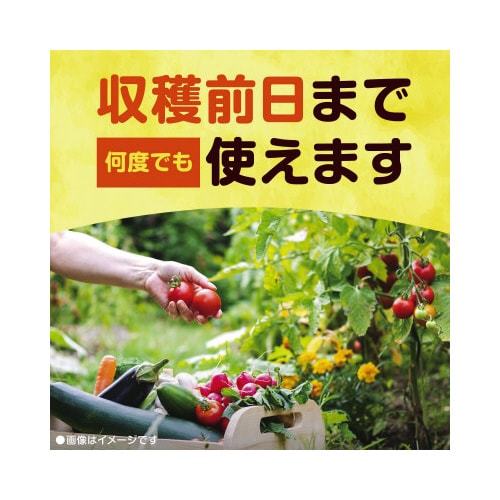 アースガーデン ロハピ 500mL×20本