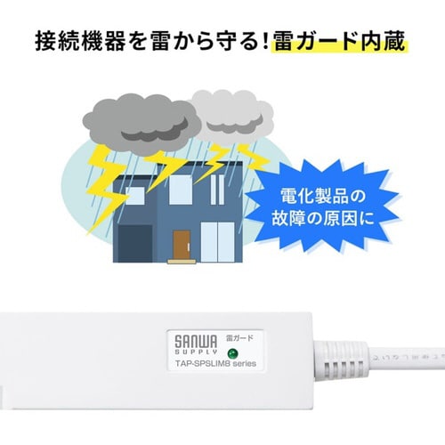 スリム雷ガードタップ