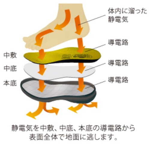 安全靴 MSN395 静電 ホワイト 24.0cm