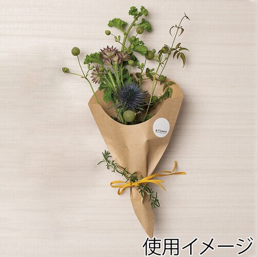 スナック三角袋 17−28 未晒無地 20袋