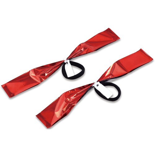 チアポンポン名札付 レッドシルバー