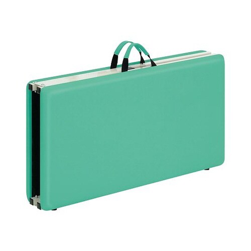 TPE−M50PG 折りたたみ診察台