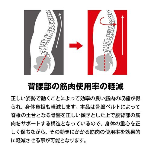 ブラックサポーター 全身アシストパワース