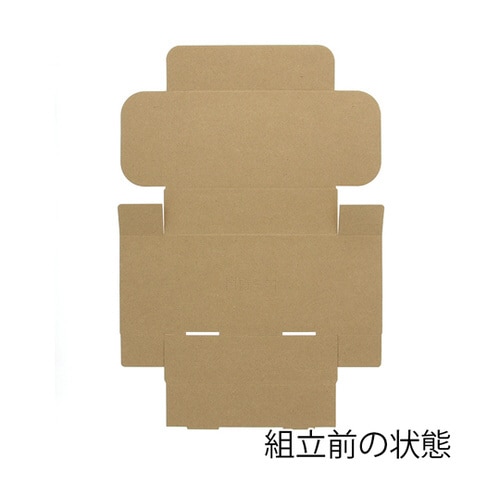 ミニダンボール MD−M 10枚入 00