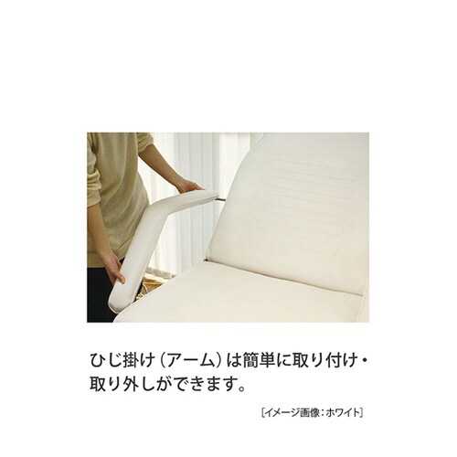 フェイシャルベッド 有孔 ホワイト T−