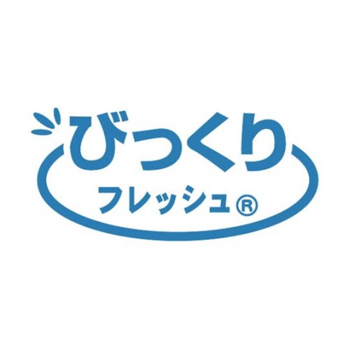 洗ってふきとるクリーナー BF−59
