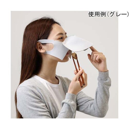 抗菌消臭立体マスク 【ショク】 WH S