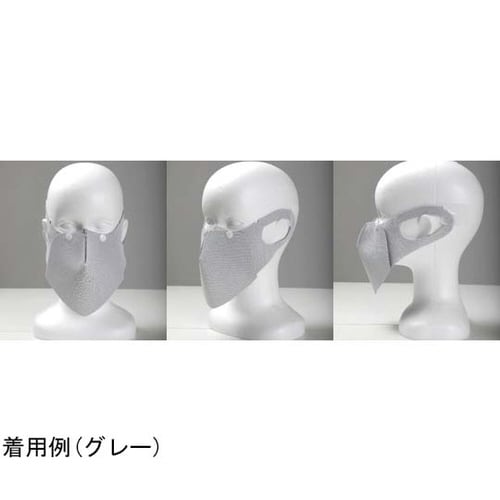 抗菌消臭立体マスク 【ショク】 WH S